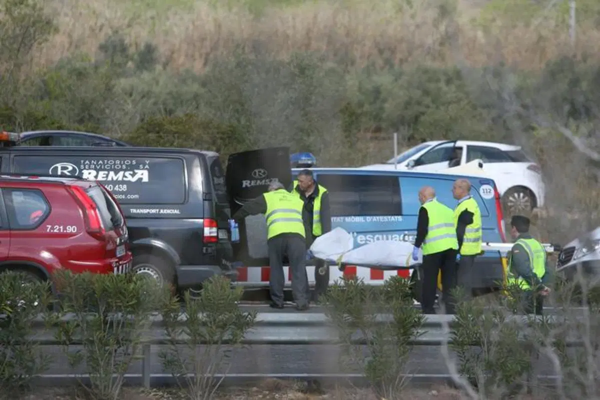 De Vita: «Incidenti e sicurezza in autobus? La revisione non basta, polizia impotente» (6)