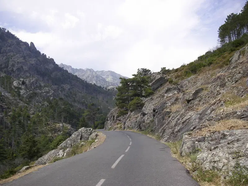 No, motociclista non pensare a quelle curve l&igrave;...troppo spesso dietro vi &egrave; una famiglia di maiali neri che mangiano ( ma che cosa mi dico, che cosa nell'asfalto?!!) a dispetto degli ettari di bosco in cui possono mangiare al meglio. Le fette di salame che vi trovereste tra le pinze dei freni non vi saranno di alcuna consolazione . Correre in Corsica &egrave; sempre pericoloso, pi&ugrave; che altrove