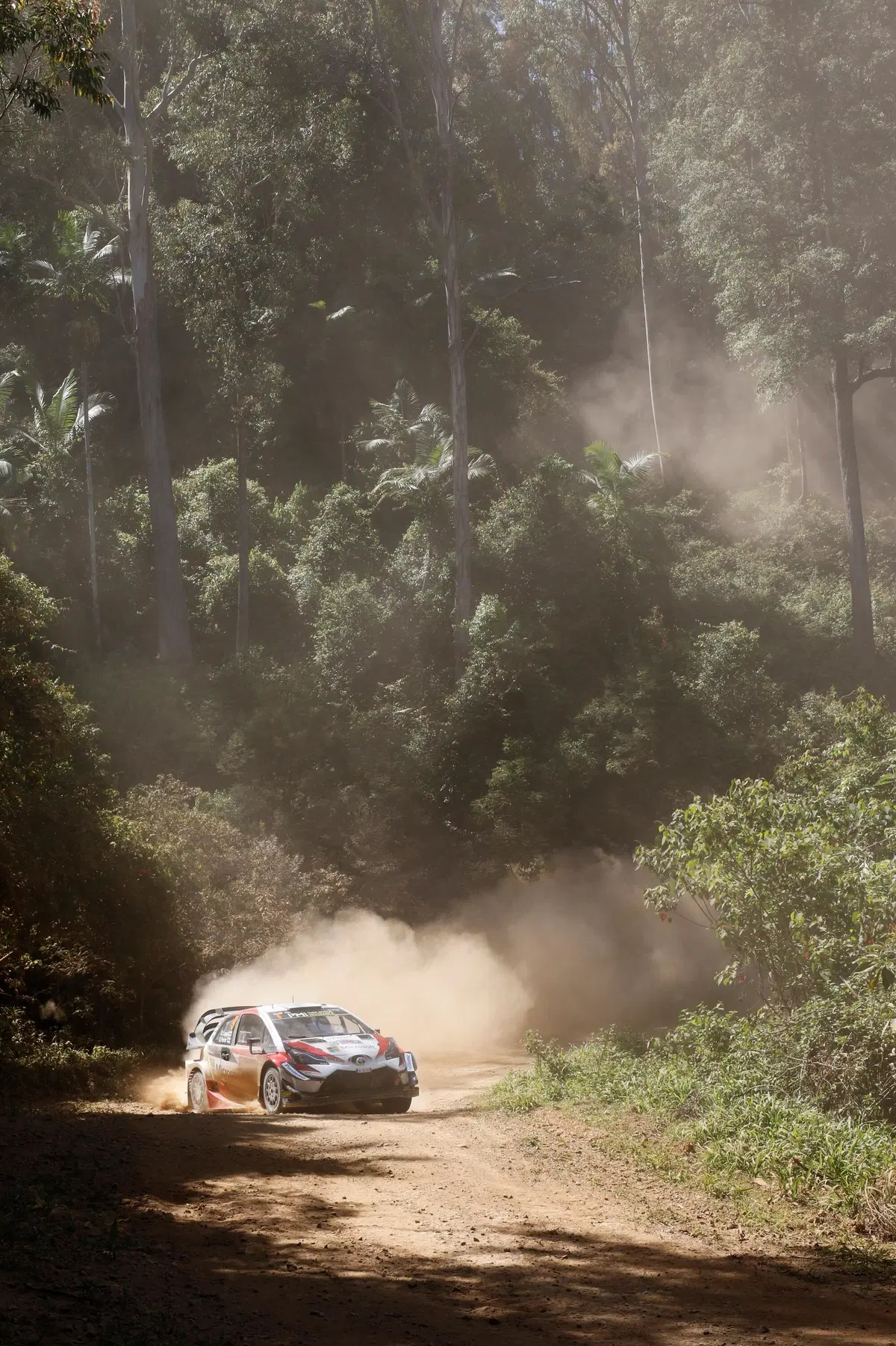 WRC18 Australia. Partito l’ultimo, e cruciale Rally della Stagione (46)