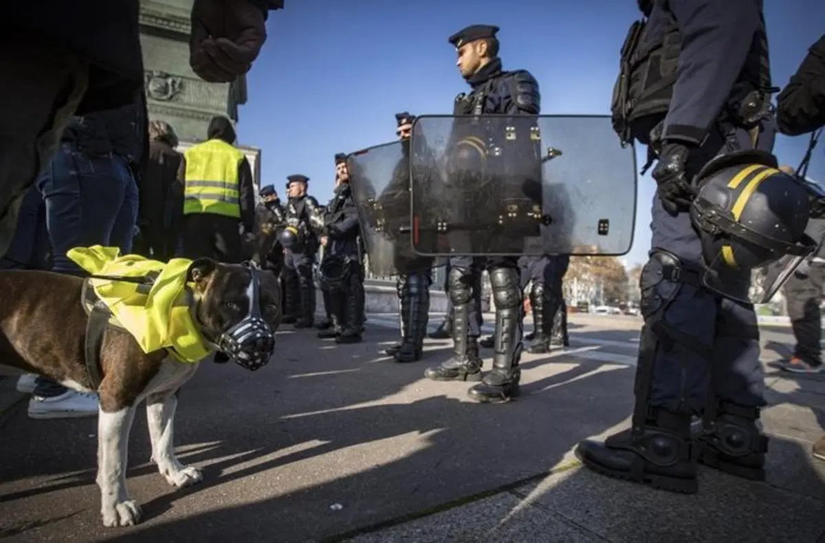 Francia nel caos per il caro Diesel: chi sono i “gilet gialli” (7)
