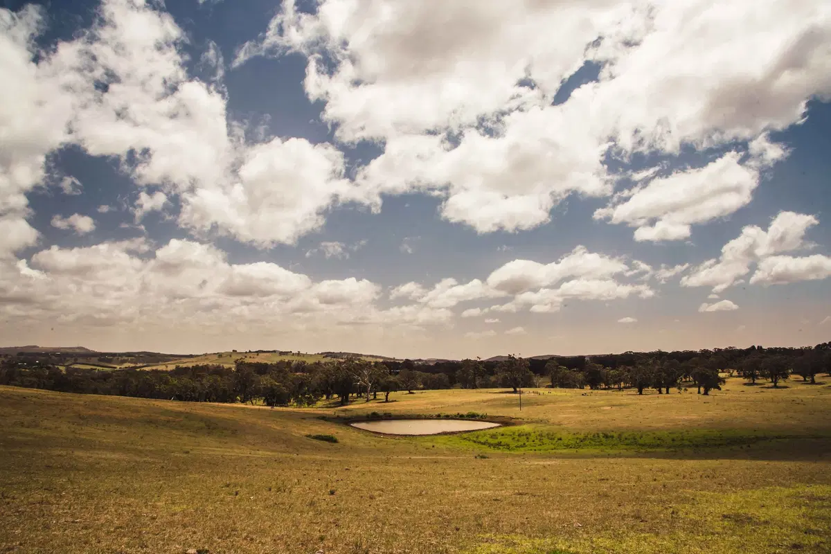 Hyundai Australian EXP 2. Country Side. Trip & Test (6)