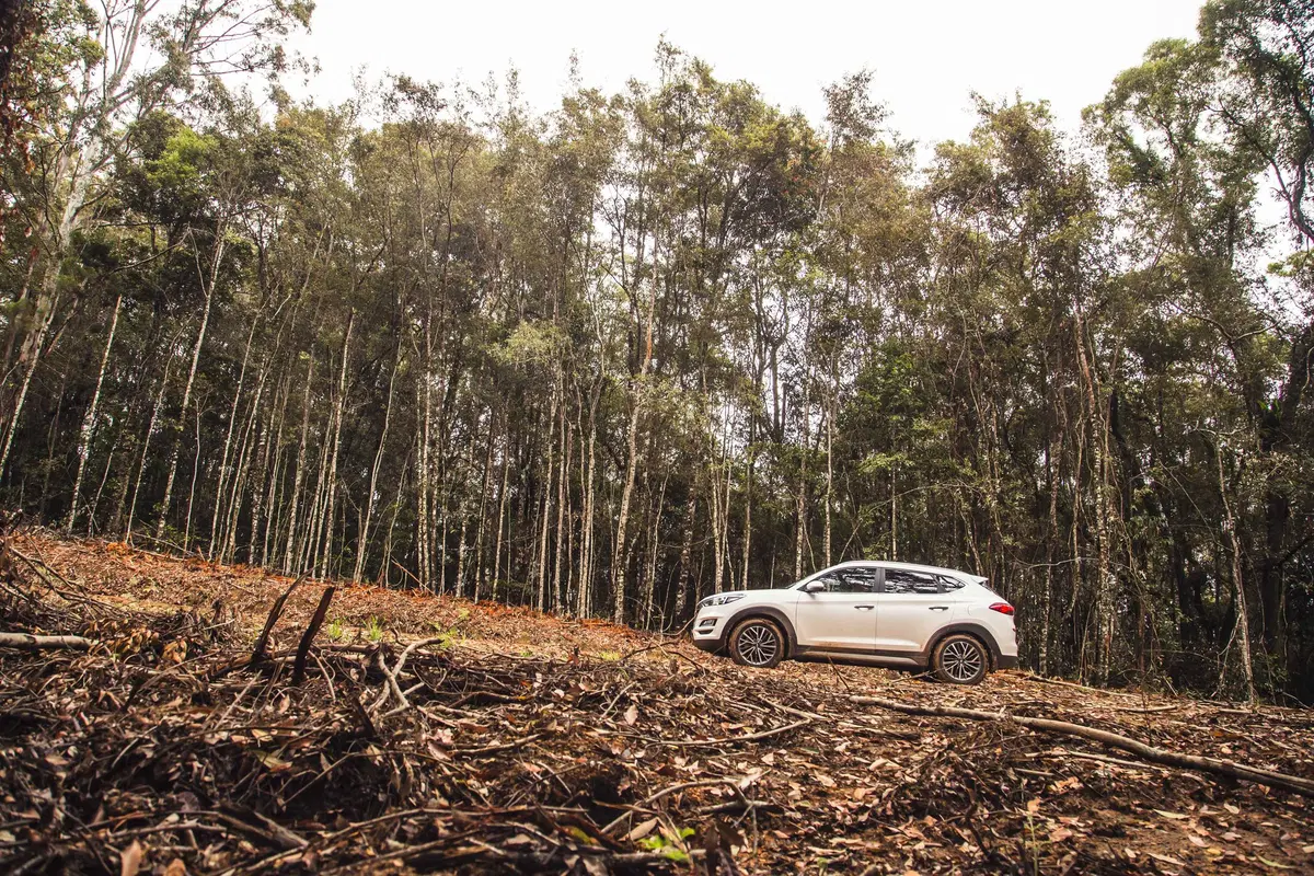 Hyundai Australian EXP 2. Country Side. Trip & Test (15)