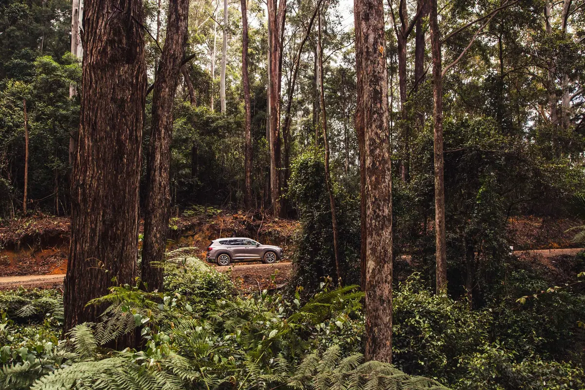 Hyundai Australian EXP 2. Country Side. Trip & Test (16)