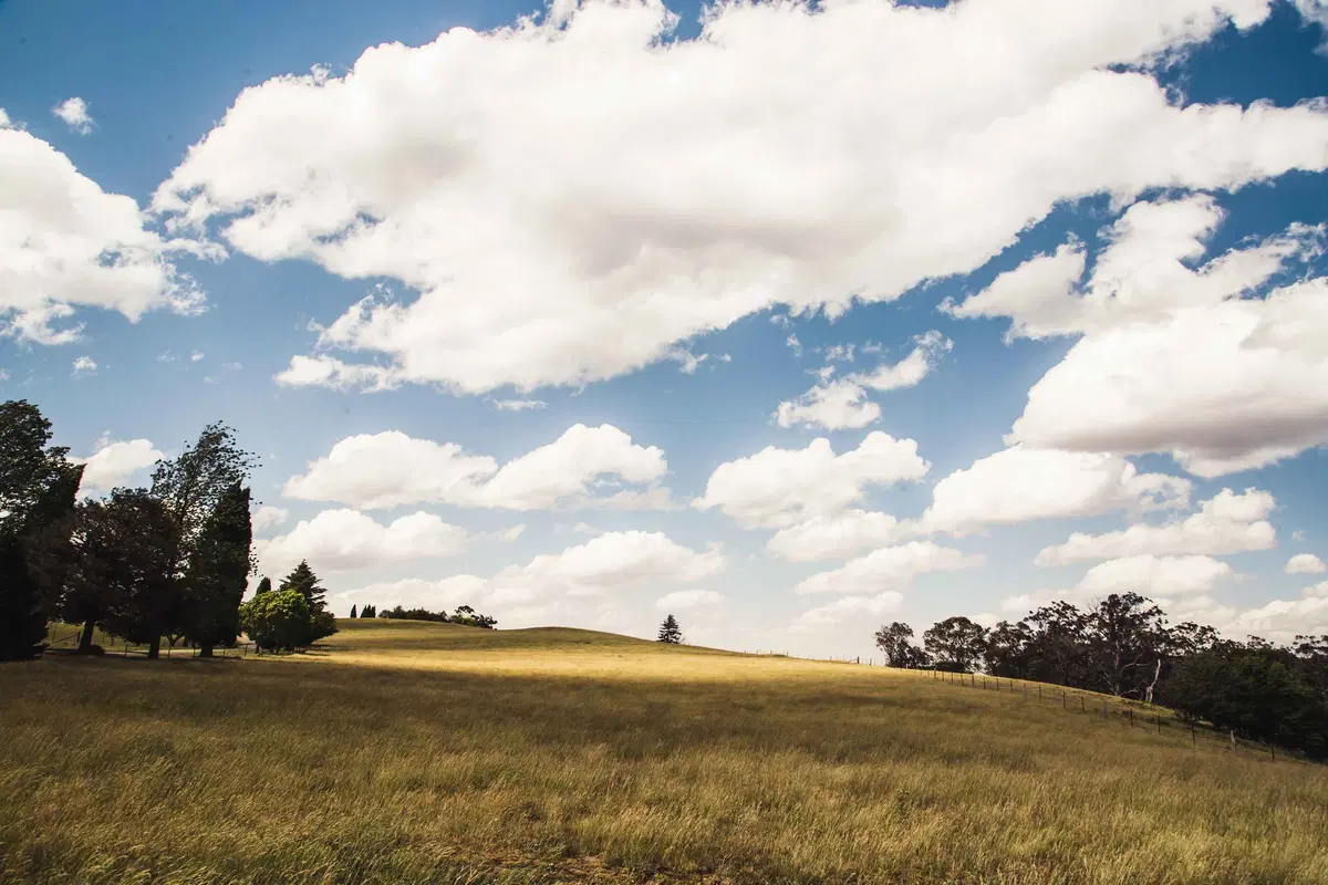 Hyundai Australian EXP 2. Country Side. Trip & Test (33)