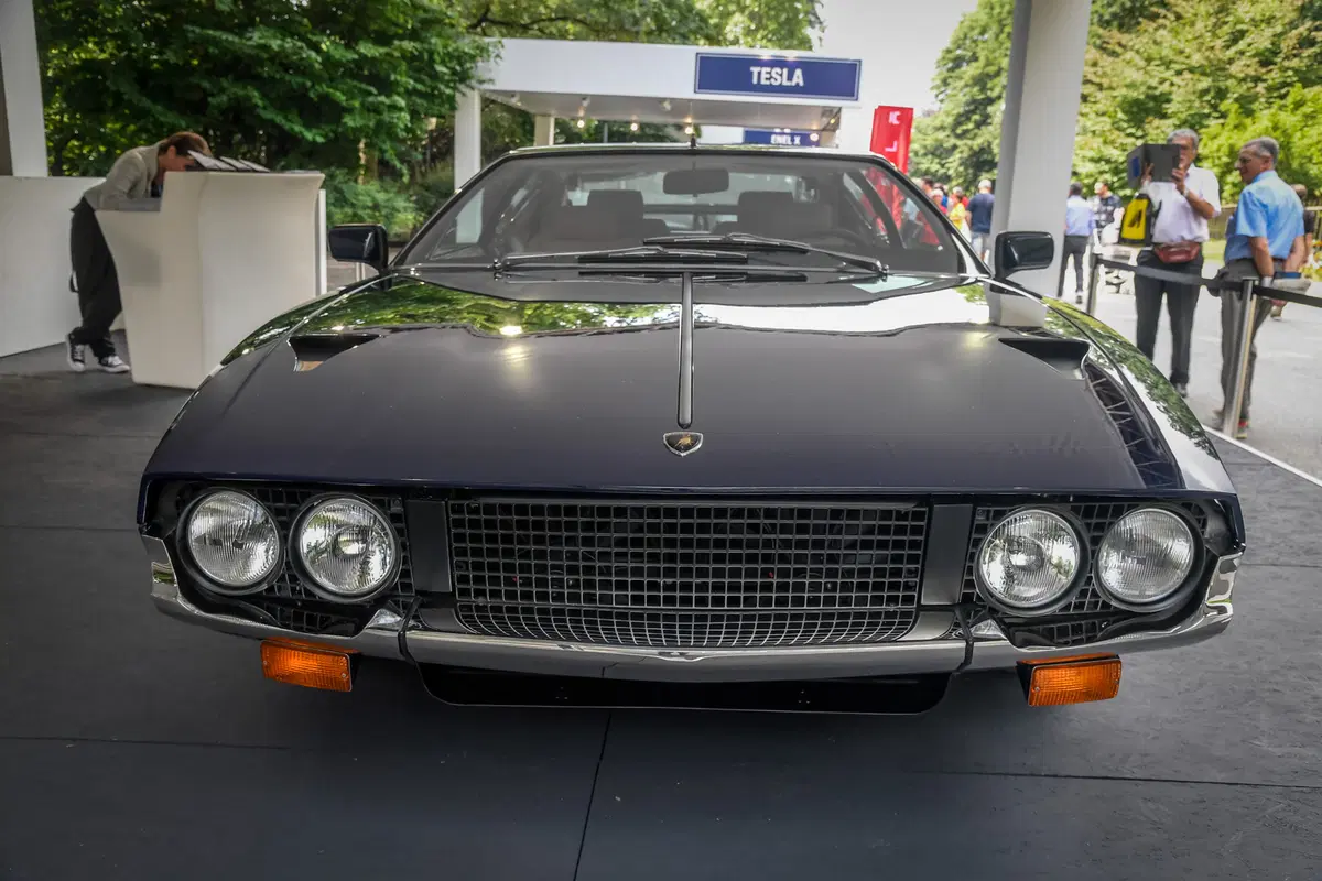 Salone dell'Auto di Torino: le foto più belle del Parco Valentino (40)