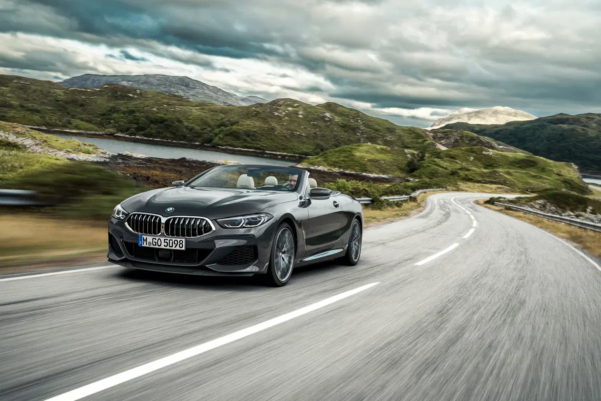 BMW Serie 8 Cabrio M 850i  xdrive auto (9)