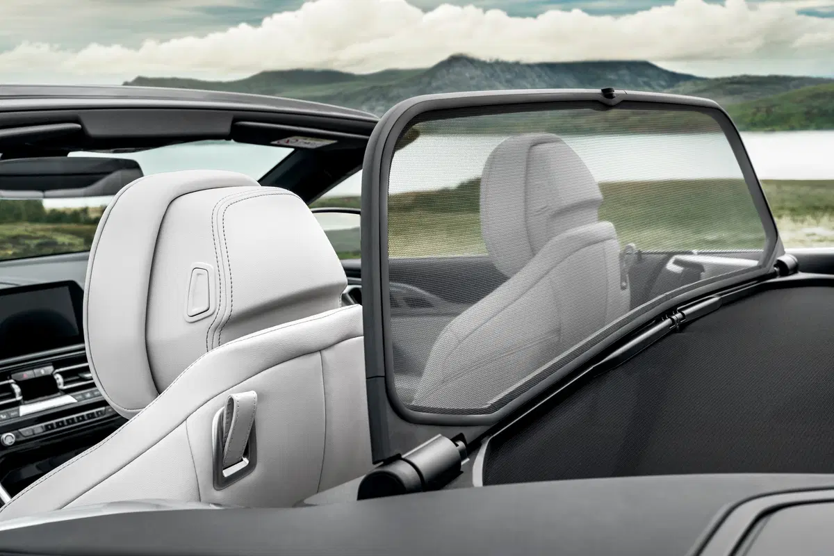 BMW Serie 8 Cabrio M 850i  xdrive auto (14)