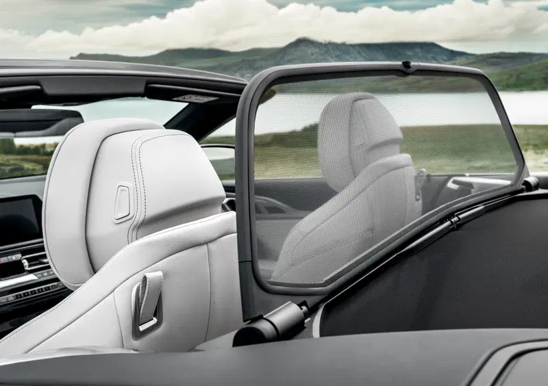 BMW Serie 8 Cabrio (2018-25) (14)