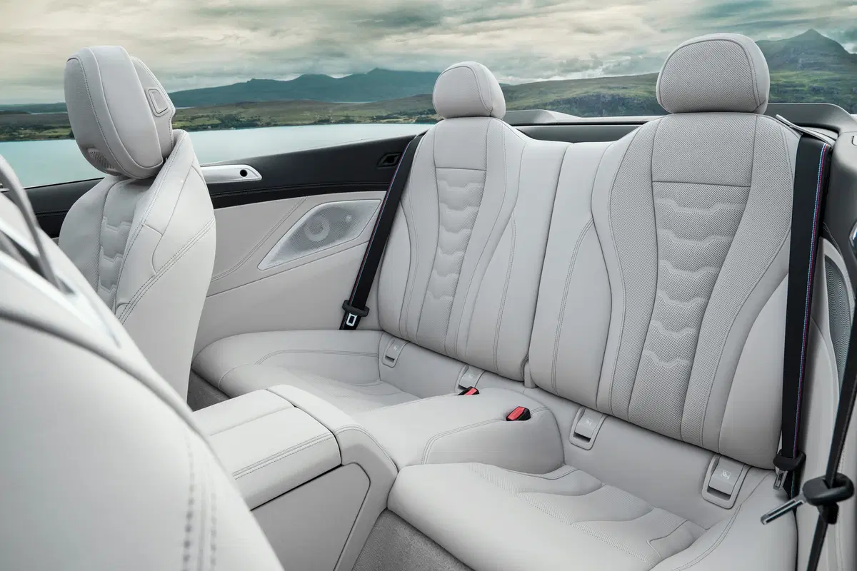BMW Serie 8 Cabrio M 850i  xdrive auto (13)
