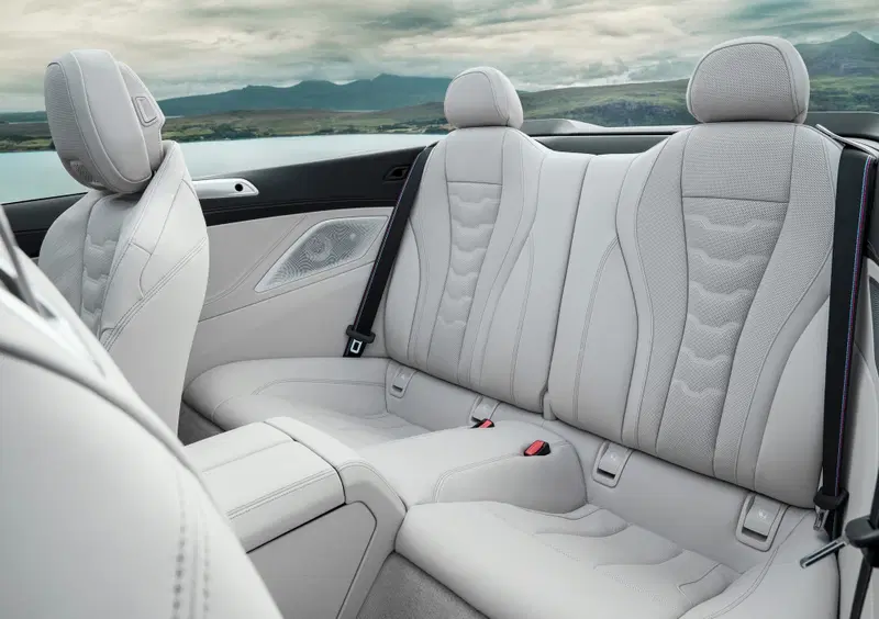 BMW Serie 8 Cabrio (2018-25) (13)