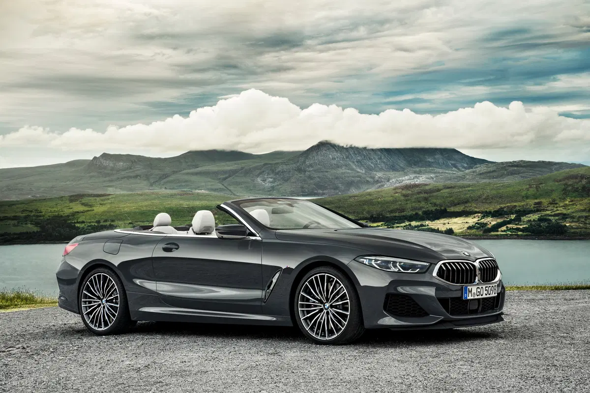BMW Serie 8 Cabrio M 850i  xdrive auto (8)