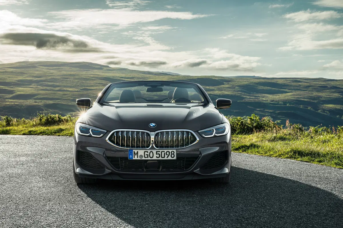 BMW Serie 8 Cabrio M 850i  xdrive auto (3)