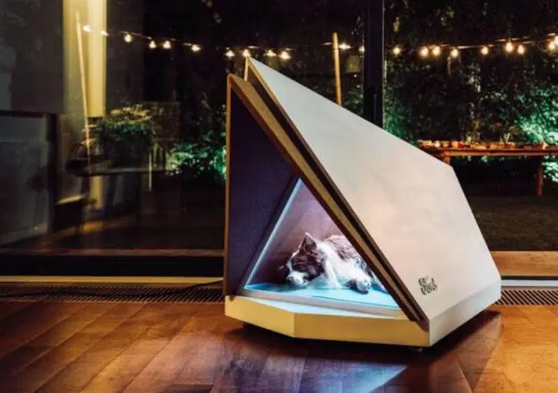 Ford pensa ai cani per Capodanno con la cuccia anti petardi