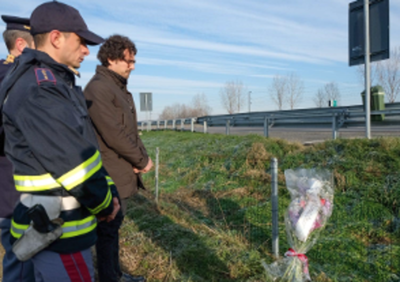 Toninelli propone la barriera anti cinghiali, in un attacco ad Autostrade