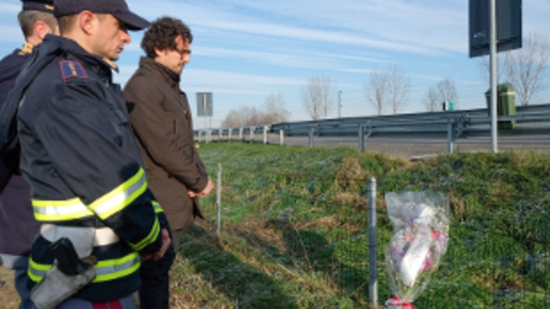 Toninelli propone la barriera anti cinghiali, in un attacco ad Autostrade