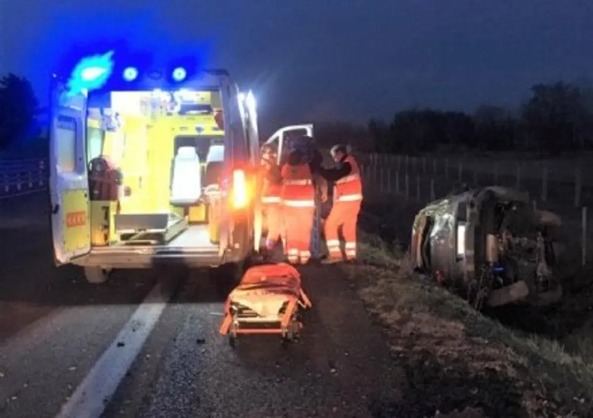 Tenta di salvare il gufo ferito, ma viene investita da un'auto