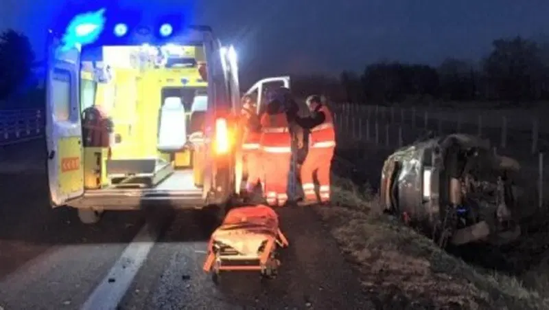 Tenta di salvare il gufo ferito, ma viene investita da un'auto