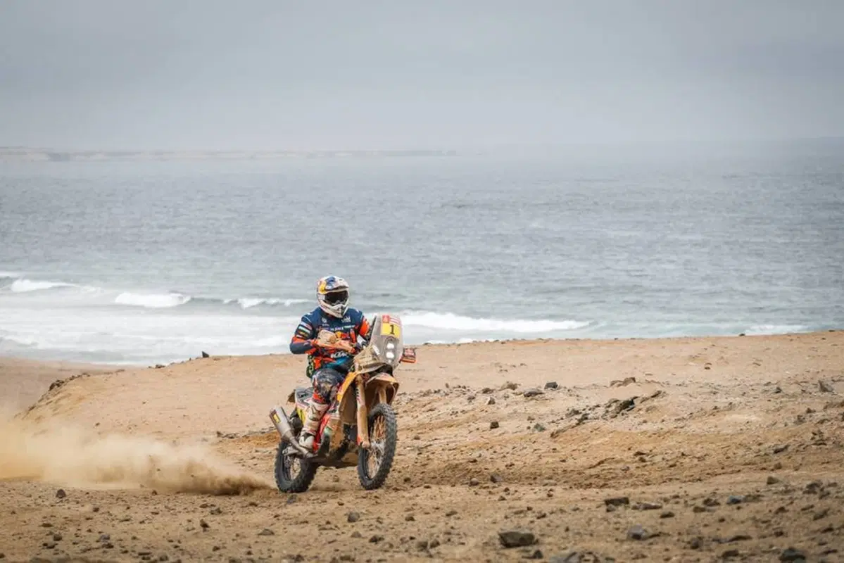 Dakar 2019 Perù. Live Day 8. San Juan de Marcona - Pisco (8)