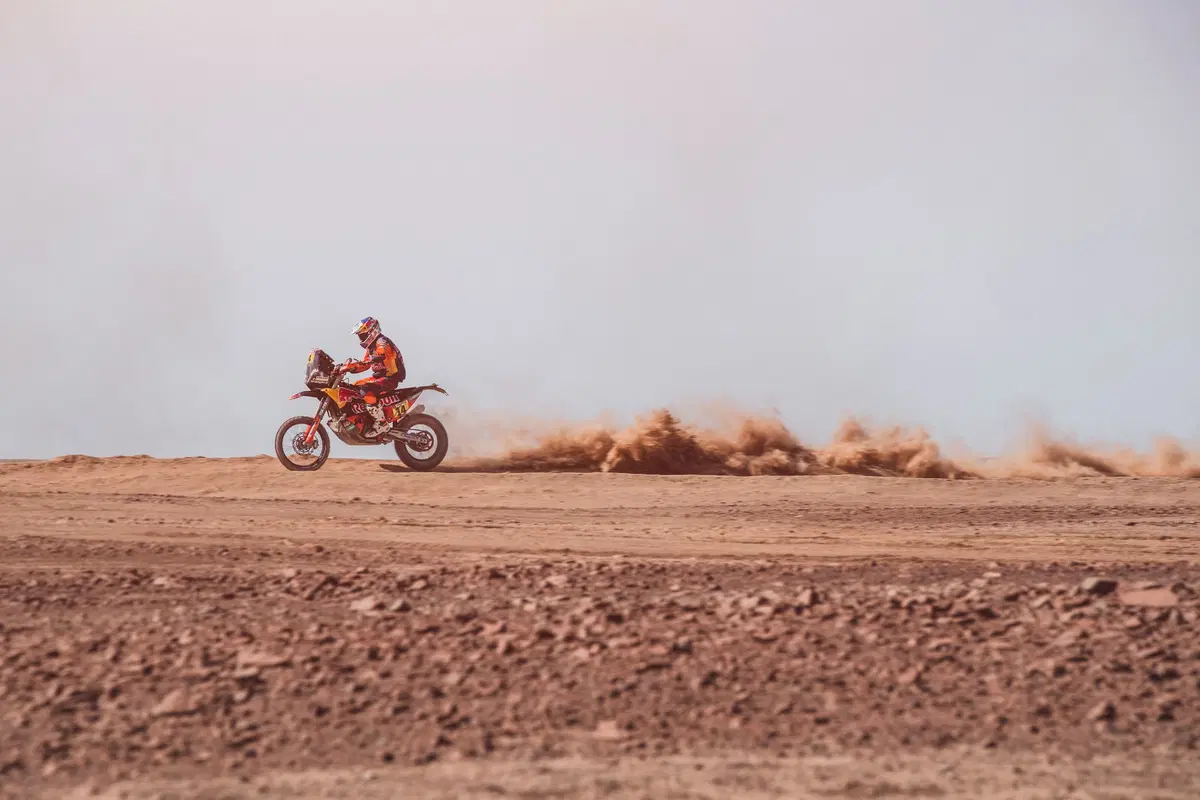 Dakar 2019 Perù. Live Day 8. San Juan de Marcona - Pisco (10)