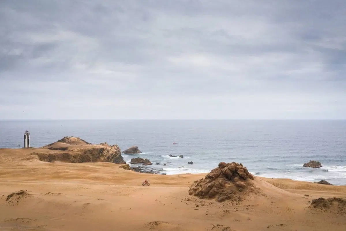 Dakar 2019 Perù. Live Day 8. San Juan de Marcona - Pisco (14)