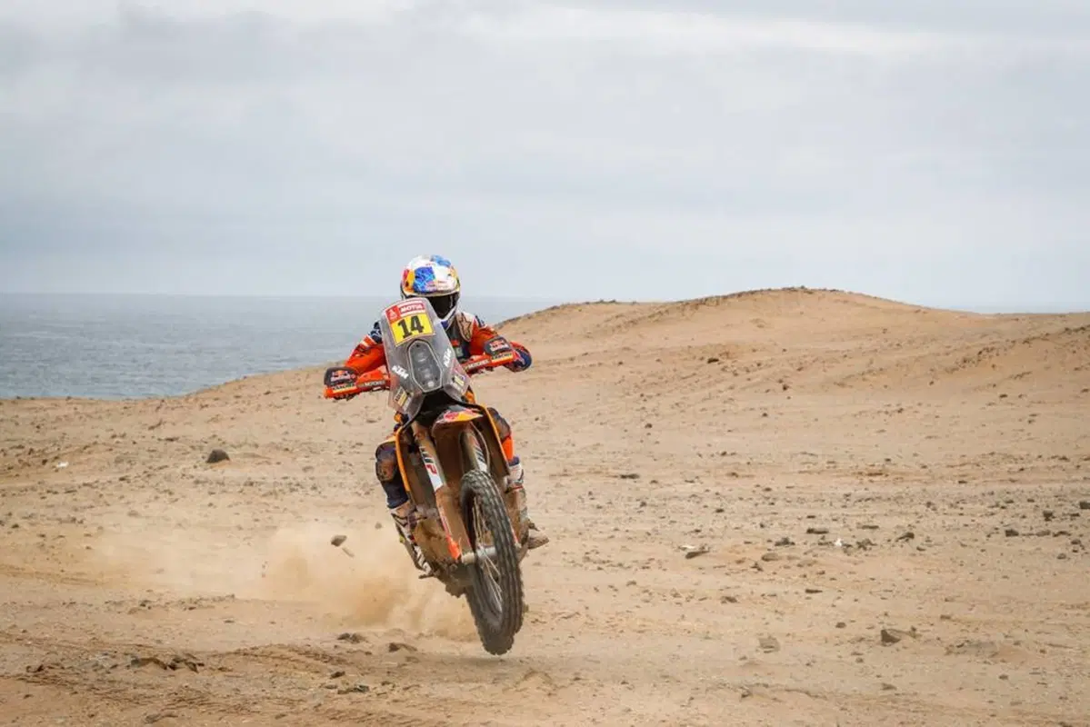 Dakar 2019 Perù. Live Day 8. San Juan de Marcona - Pisco (15)