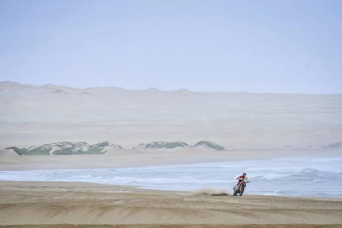 Dakar 2019 Perù. Live Day 8. San Juan de Marcona - Pisco (17)