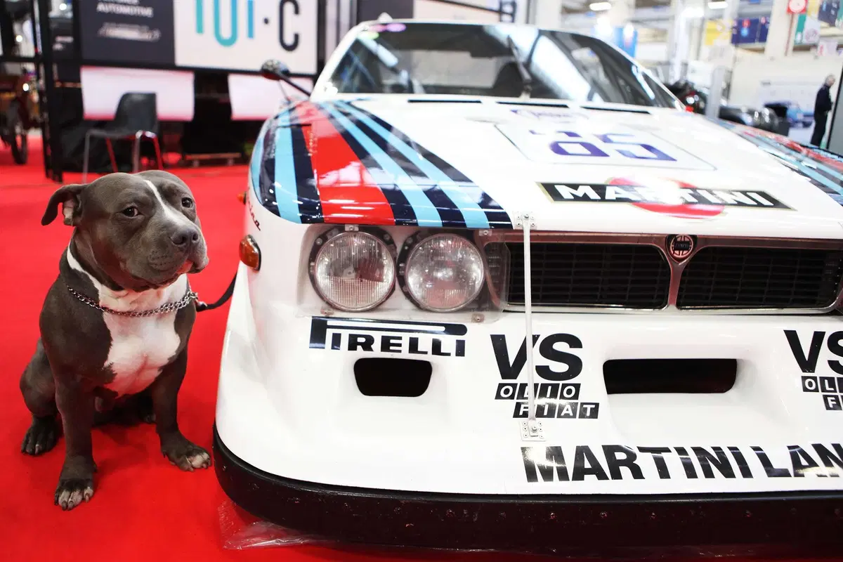 Automotoretrò 2019: quattro giorni di storiche a Torino (7)