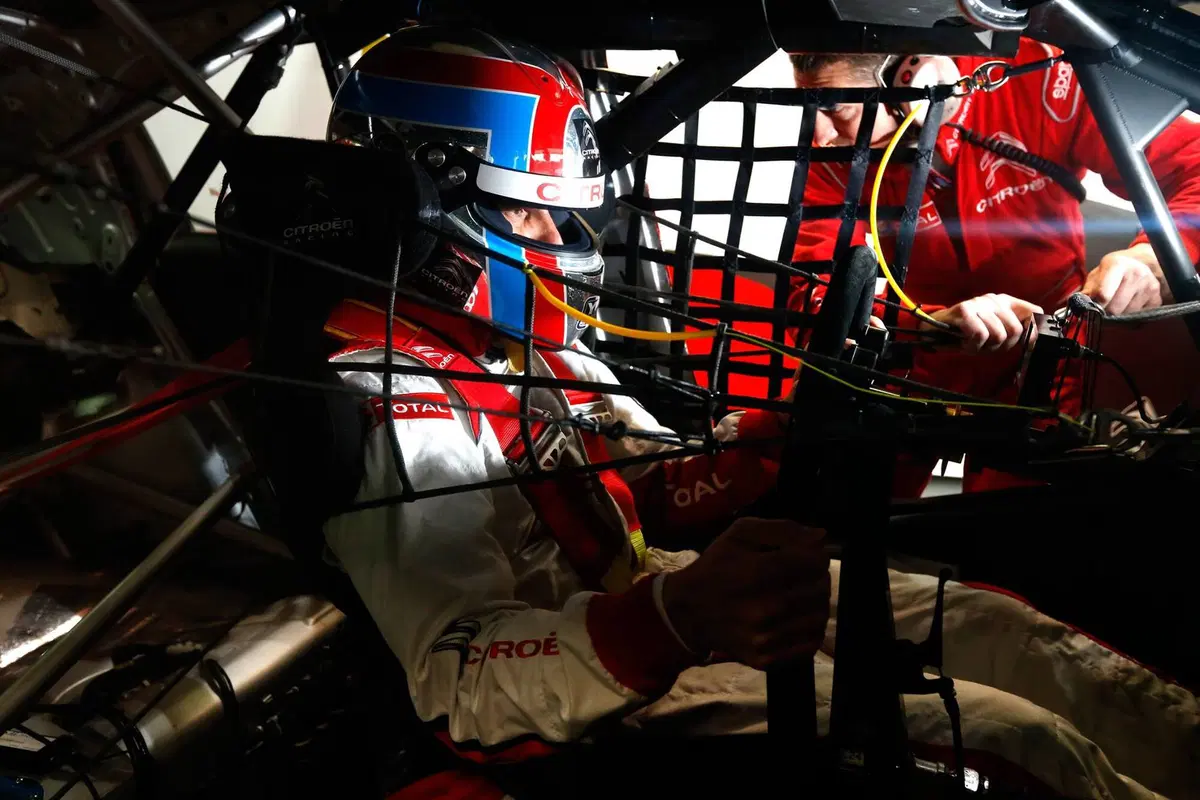 WTCC, le novità della stagione 2016 (15)