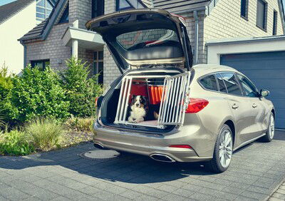 Ford Focus Wagon, progettata (anche) per la sicurezza dei cani