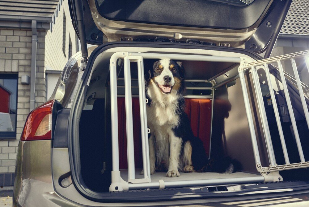 Il bagaglio della Ford Focus Wagon 2019 &egrave; stato progettato per ospitare anche i cani pi&ugrave; grandi