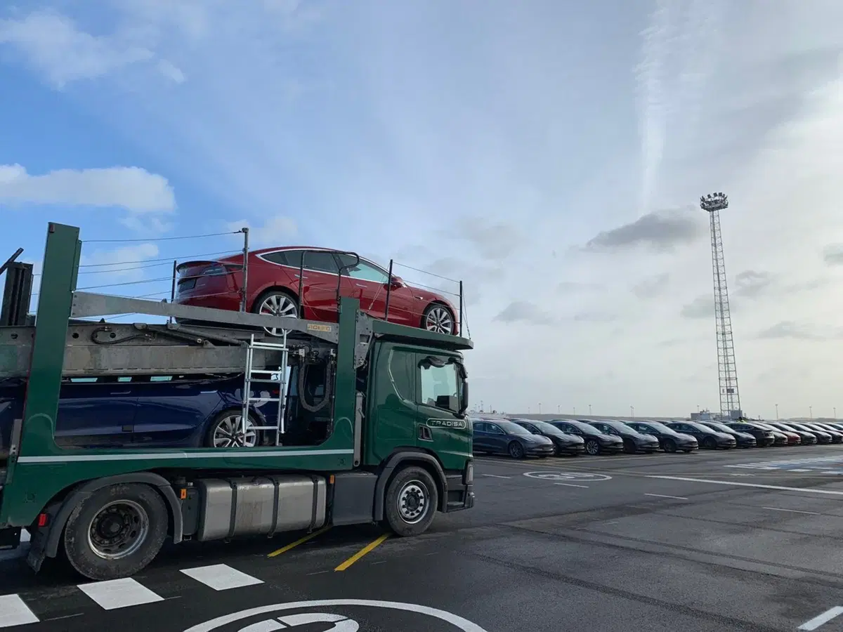 Tesla e Mercedes insieme? Per nuovi van elettrici e non solo (3)