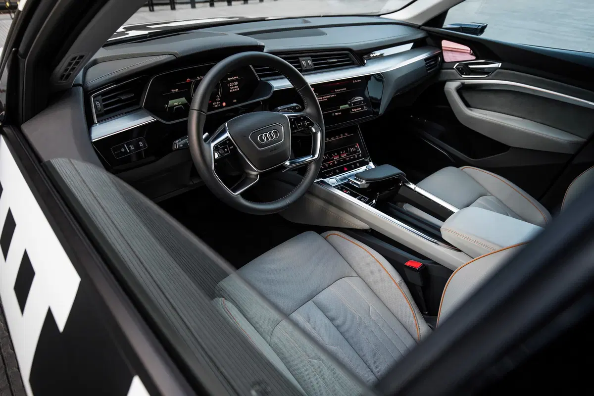 Audi e-tron (2019-22) (16)