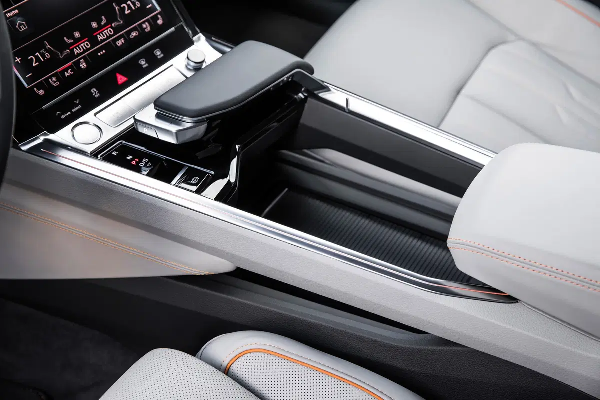 Audi e-tron (2019-22) (17)