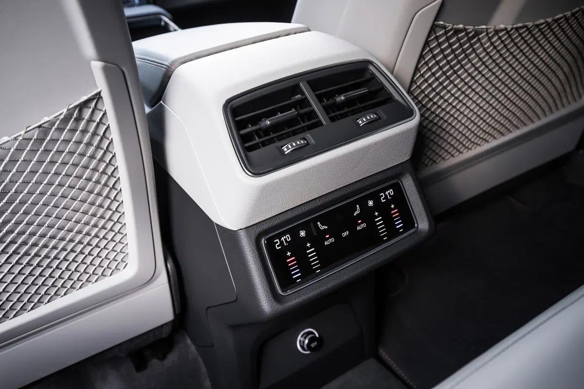 Audi e-tron (2019-22) (18)