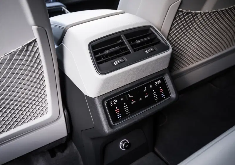 Audi e-tron (2019-22) (18)