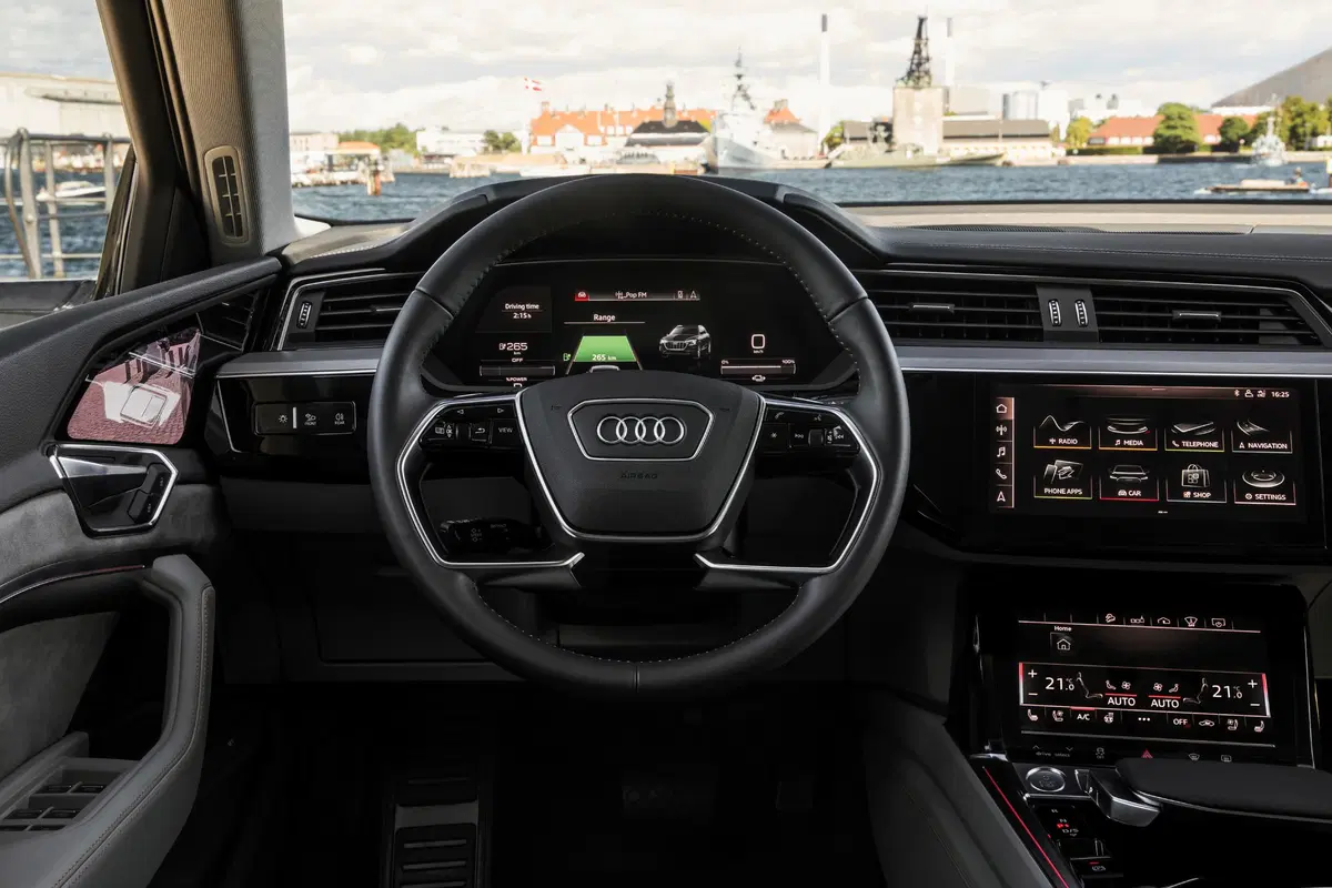 Audi e-tron (2019-22) (11)