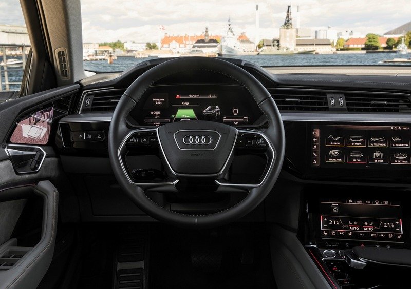 Audi e-tron (2019-22) (11)
