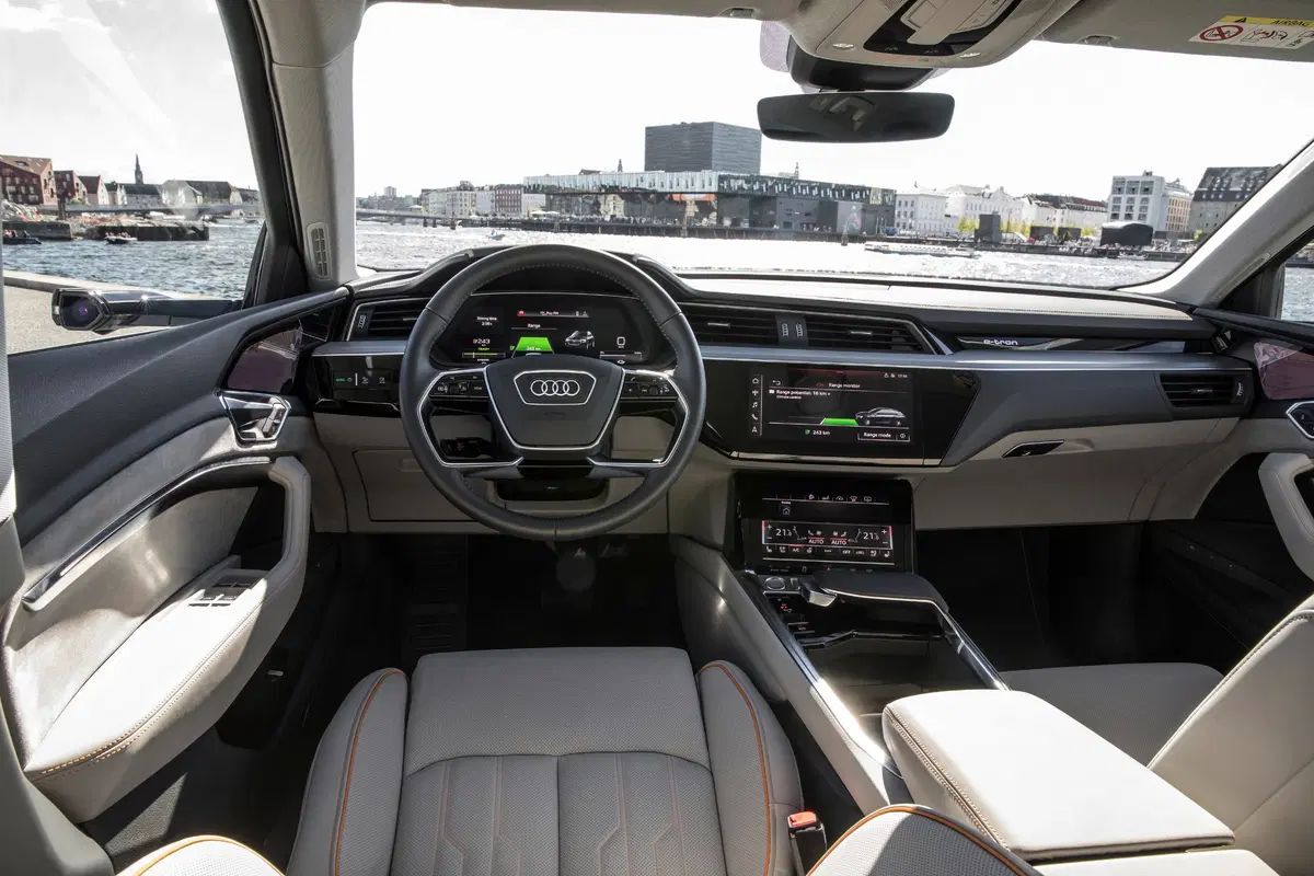 Audi e-tron (2019-22) (19)