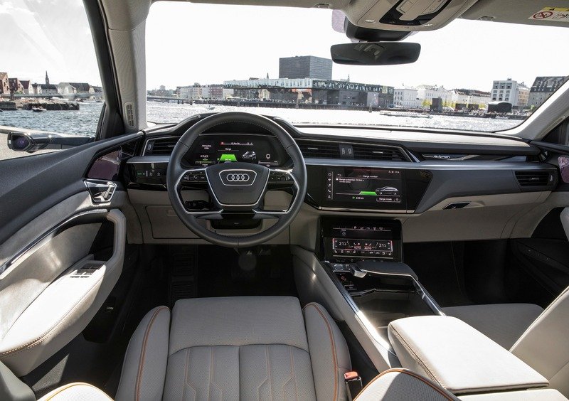 Audi e-tron (2019-22) (19)