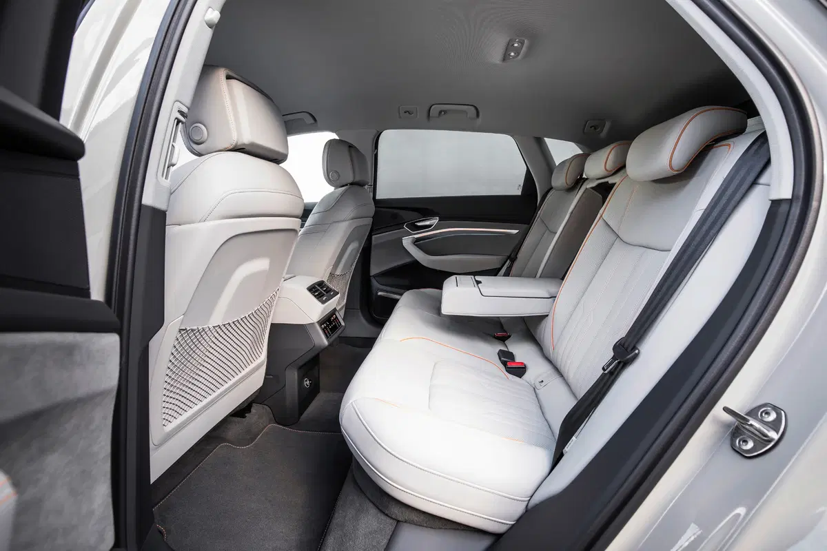 Audi e-tron (2019-22) (20)