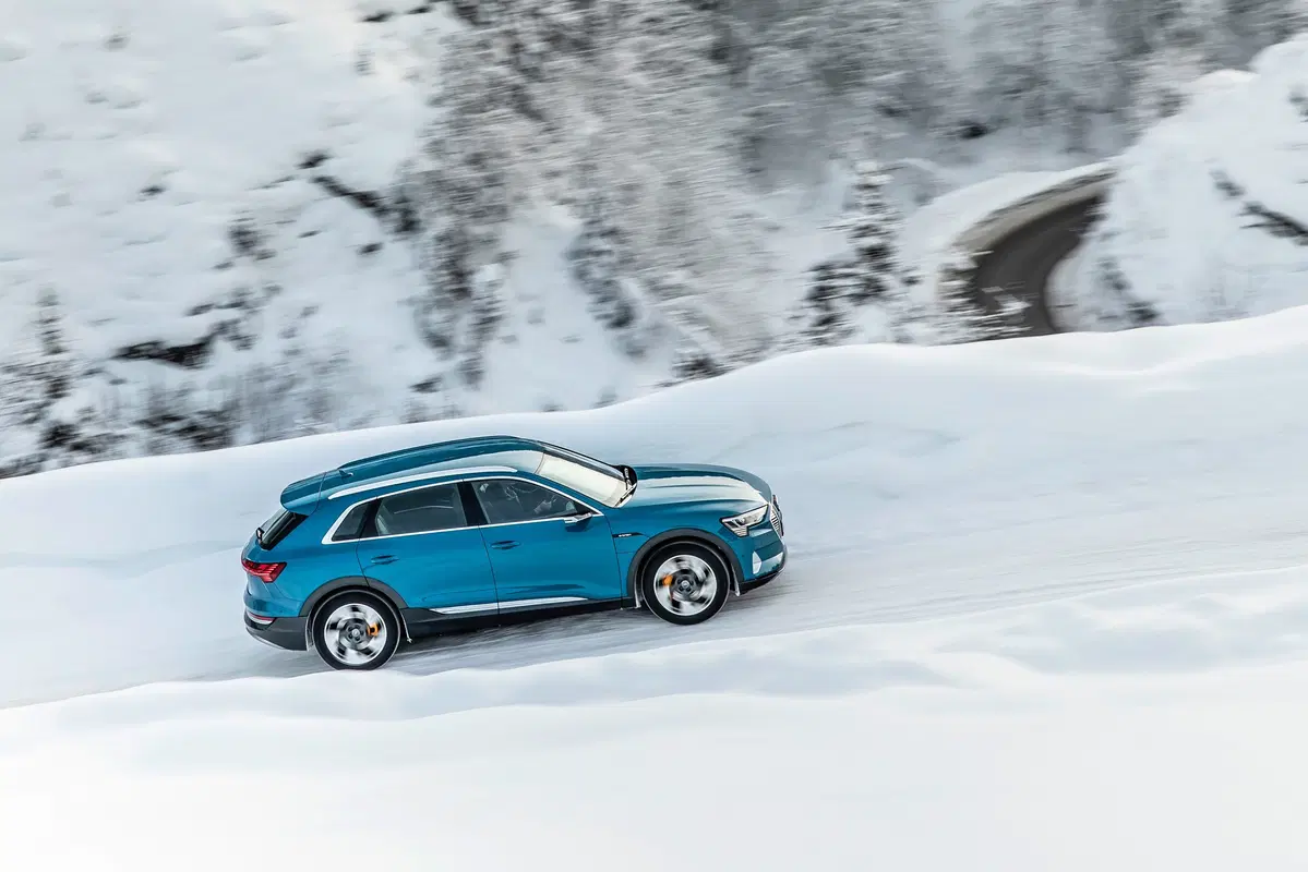 Audi e-tron (2019-22) (6)