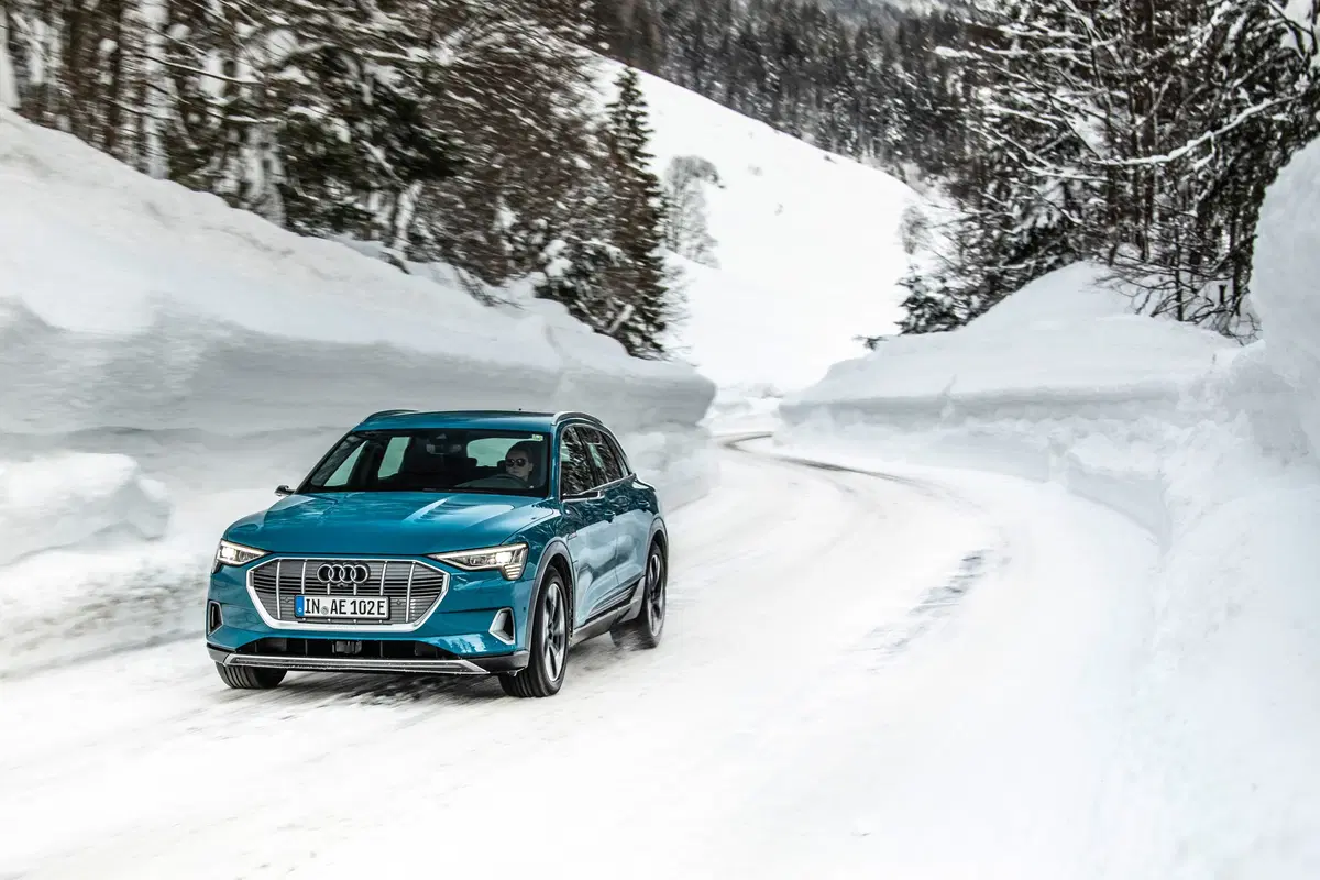 Audi e-tron (2019-22) (8)