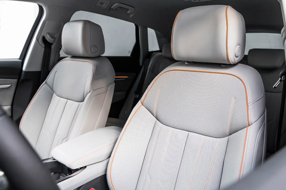 Audi e-tron (2019-22) (21)