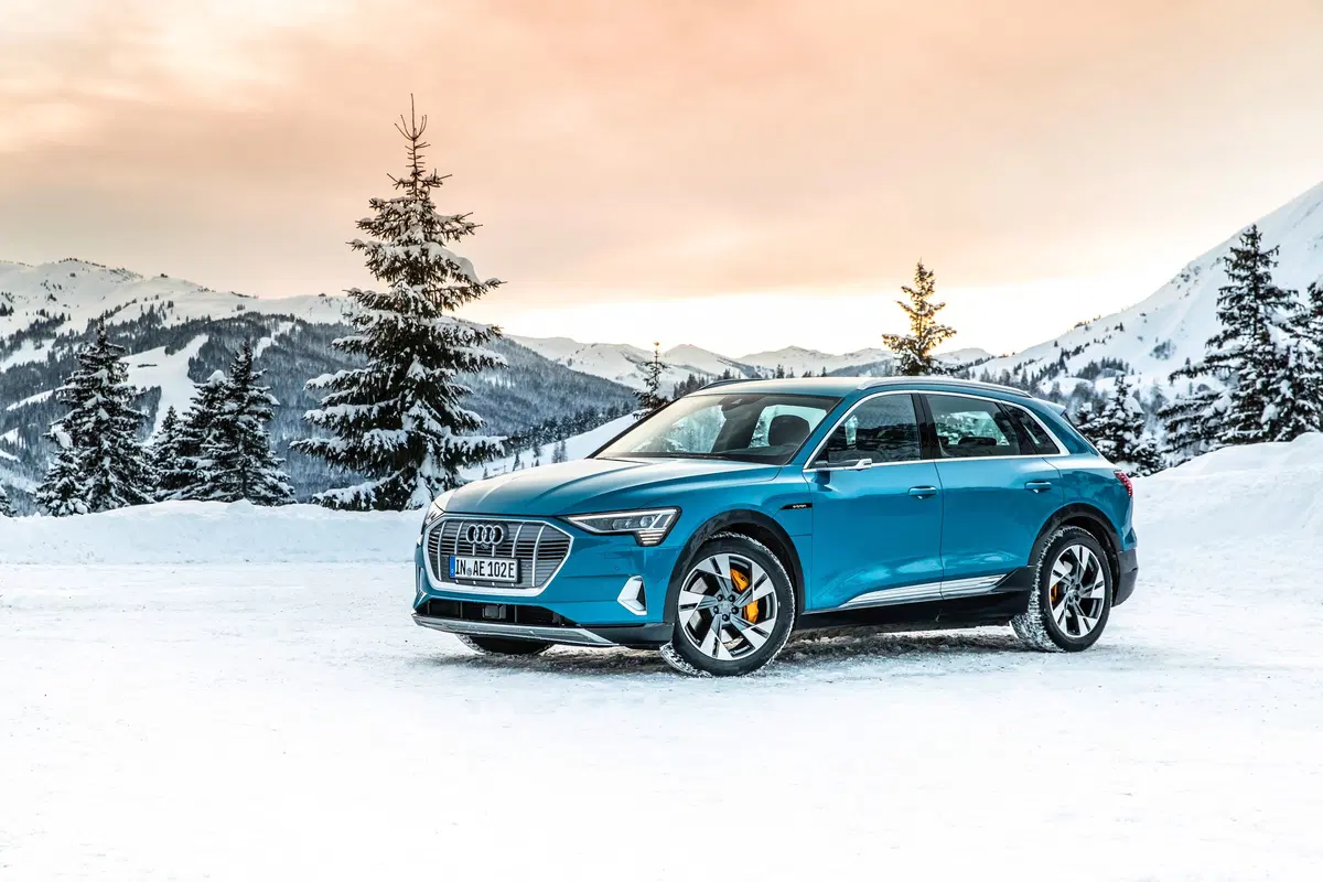 Audi e-tron (2019-22) (9)