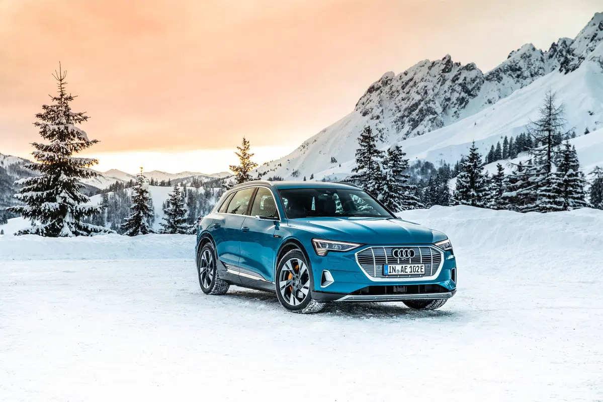 Audi e-tron (2019-22) (7)