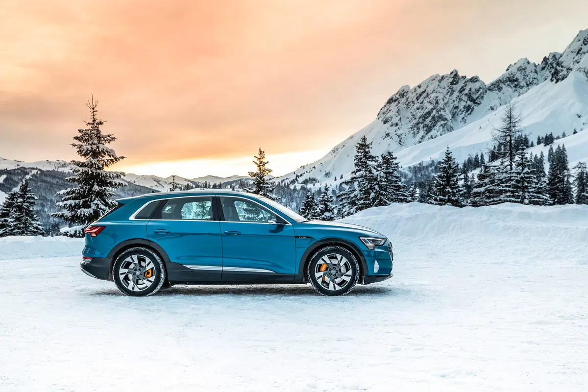 Audi e-tron (2019-22) (2)