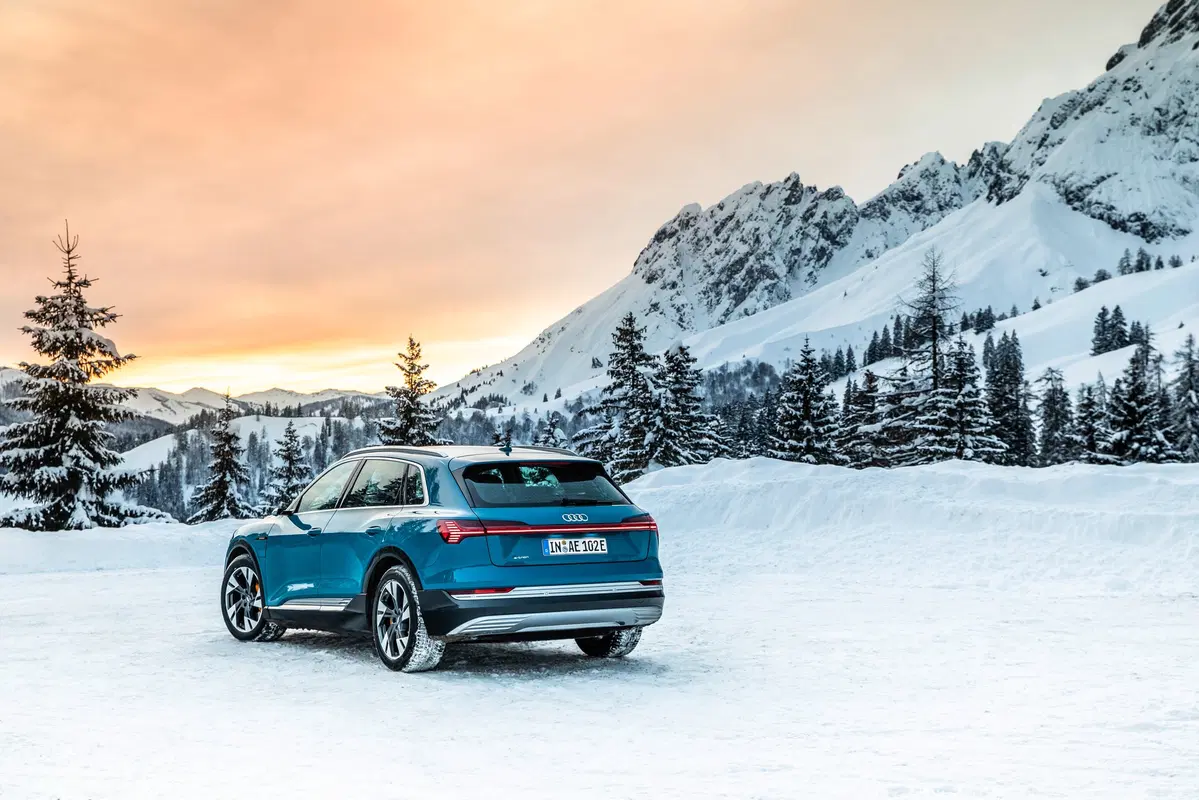 Audi e-tron (2019-22) (4)
