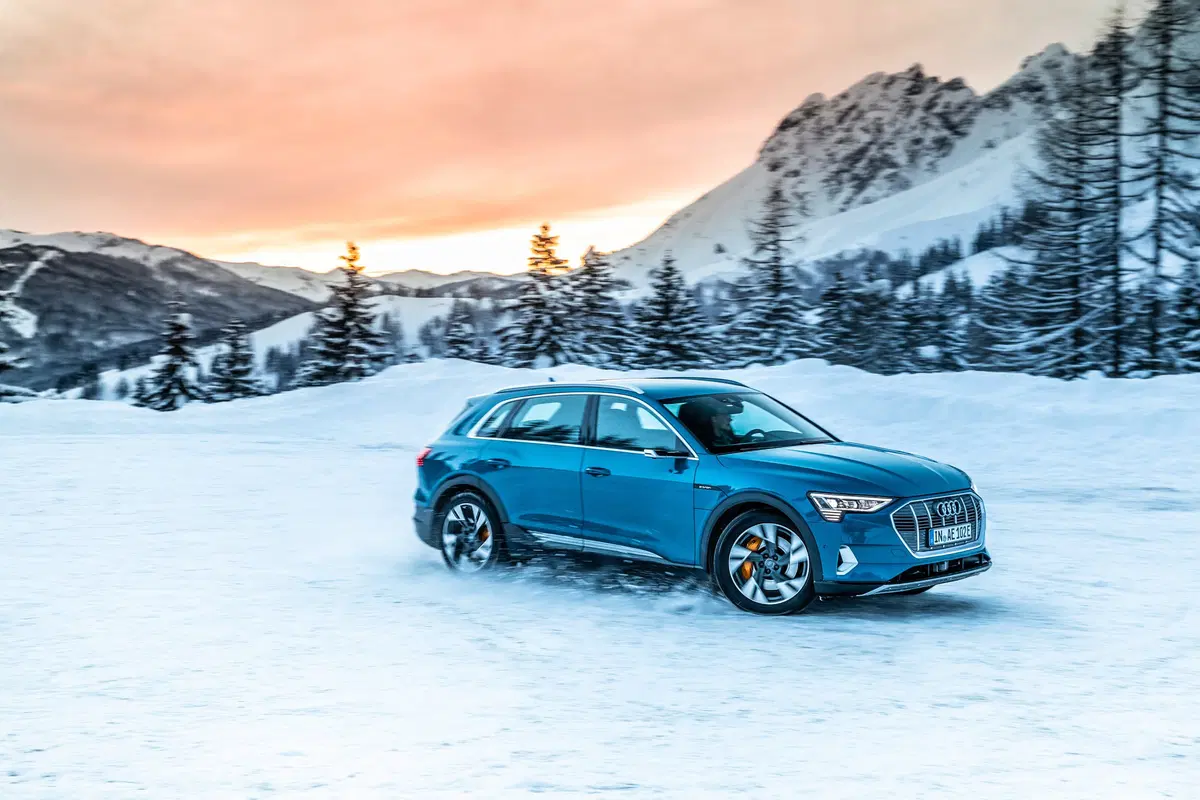 Audi e-tron (2019-22) (26)