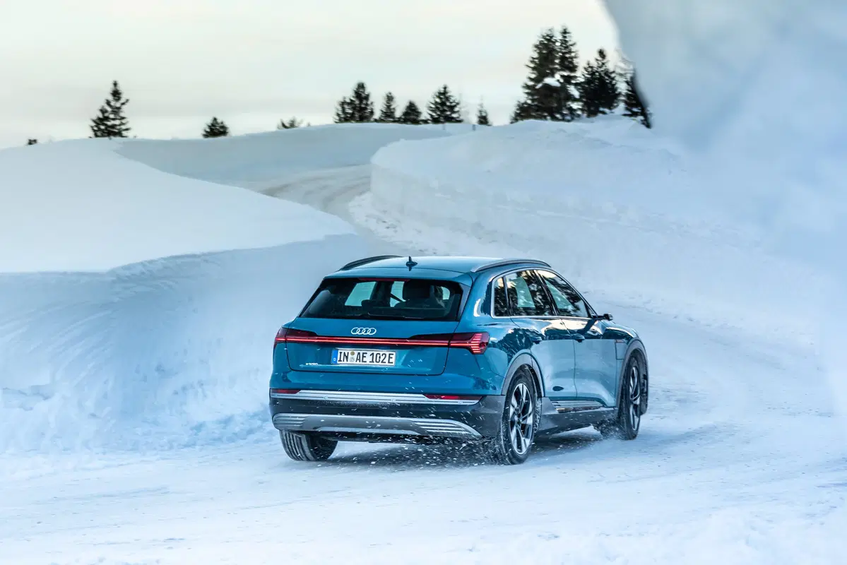 Audi e-tron (2019-22) (10)