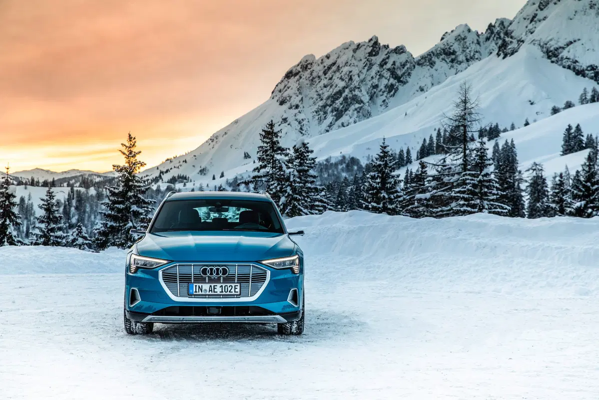 Audi e-tron (2019-22) (3)